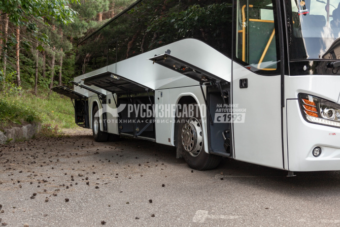 Купить Higer KLQ 6119TQ (Класс 2), 55/64 места в компании Русбизнесавто - изображение 6