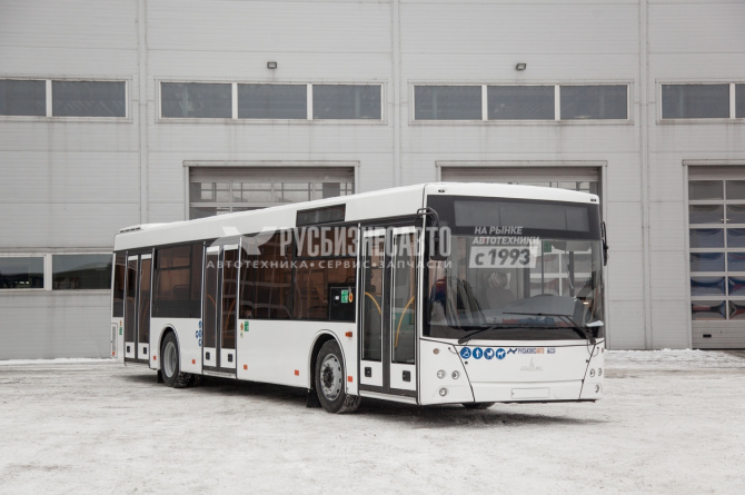 Купить Автобус МАЗ 203015 в компании Русбизнесавто - изображение 1