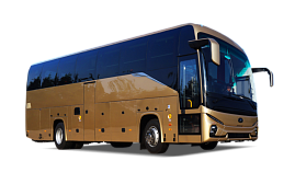 Автобусы