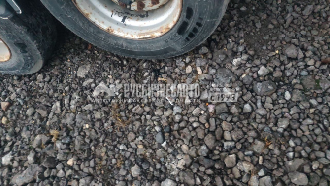 Купить Полуприцеп-цистерна Foxtank 877721 б/у (2023 г.в., темн. неф., 32 м3, 1 отс, 4 оси)(0115)Сбер в компании Русбизнесавто - изображение 16