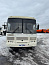 Купить Автобус ПАЗ 320540-22  ДВС ЗМЗ бензин/газ б/у (2020 г.в. 111 799 км.)(0467) в компании Русбизнесавто - изображение 1