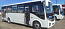 Купить ПАЗ 320415-04 Вектор Некст 8,8м дв.ЯМЗ Е-3, город 19+1/71 доступная среда в компании Русбизнесавто - изображение 0
