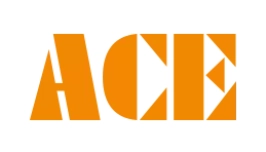 запчасти ACE